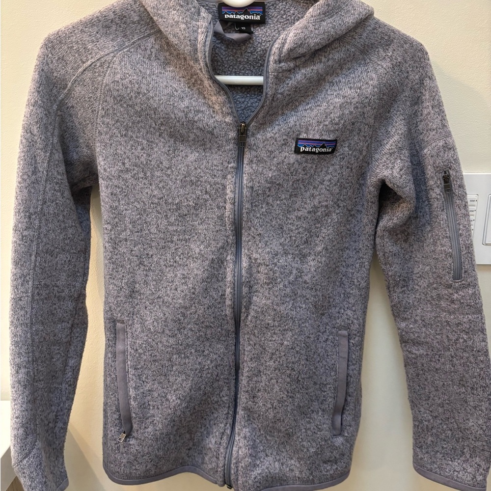 Patagonia Gray Purple Full-Zip Fleece Jacket